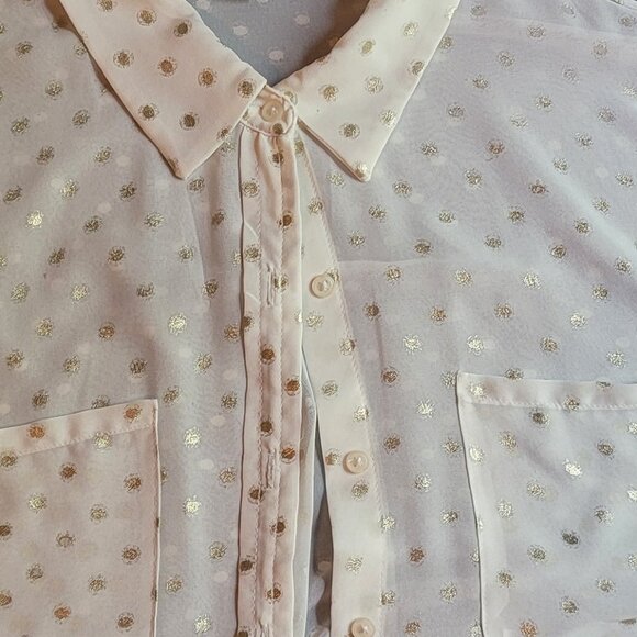 Sheer Button Front Blouse, Beach Cover, Evening Wear - Picture 2 of 6